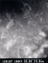 瓦電子顕微鏡写真2000倍